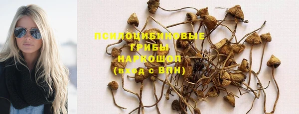 мяу мяу мука Алексин