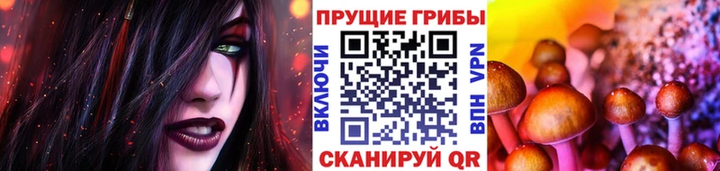 Псилоцибиновые грибы Psilocybe  Шиханы 